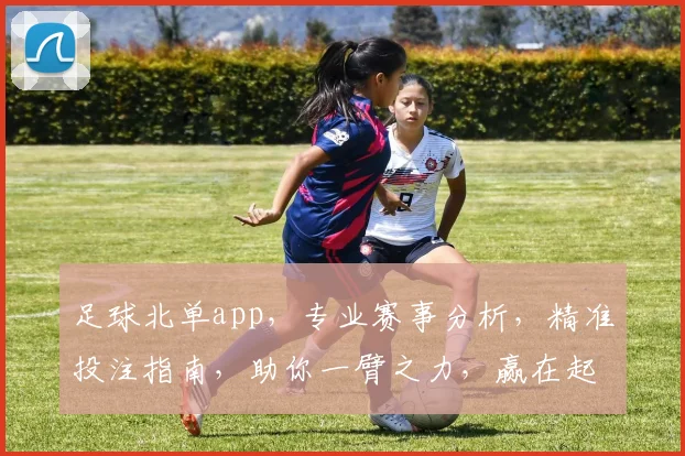 足球北单app，专业赛事分析，精准投注指南，助你一臂之力，赢在起跑线